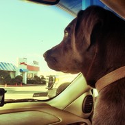 Sweetwater, Texas